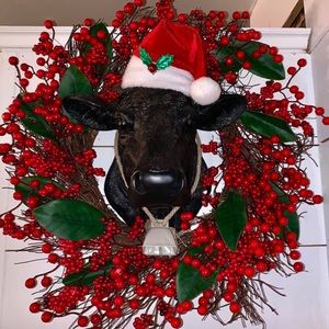 Meet your Posher, Jordin